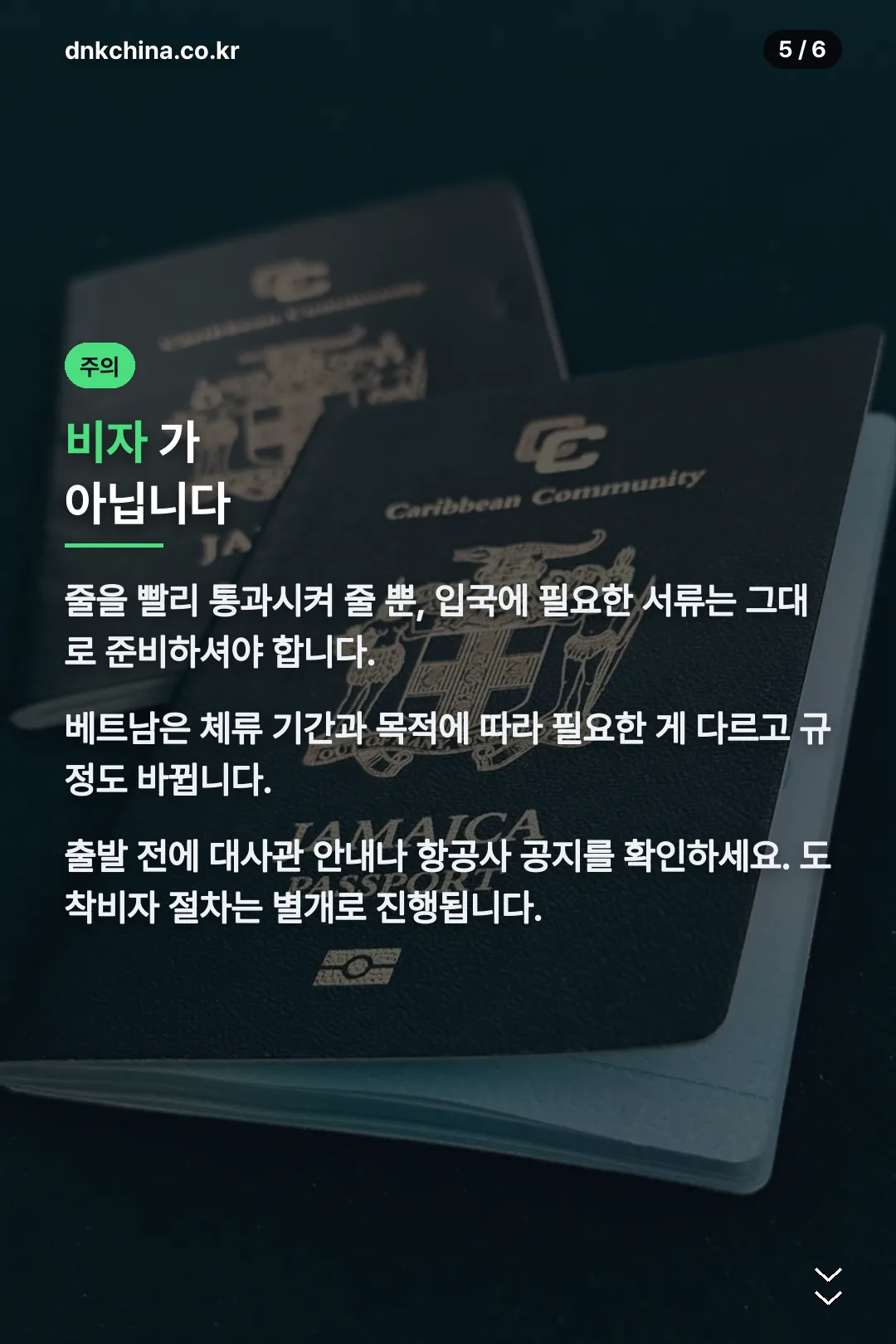 비자와의 차이