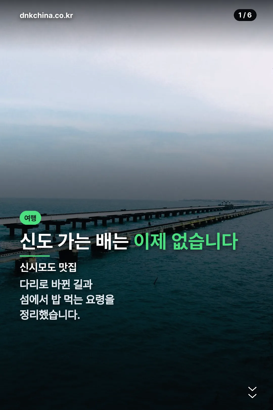 신시모도 맛집 표지