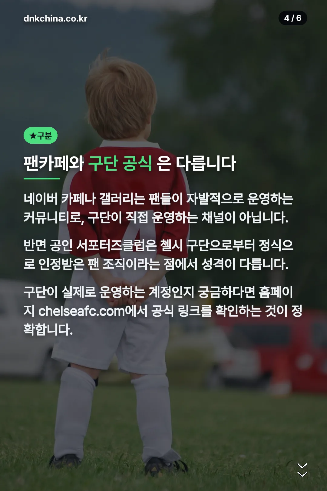 팬카페와 구단 공식 구분