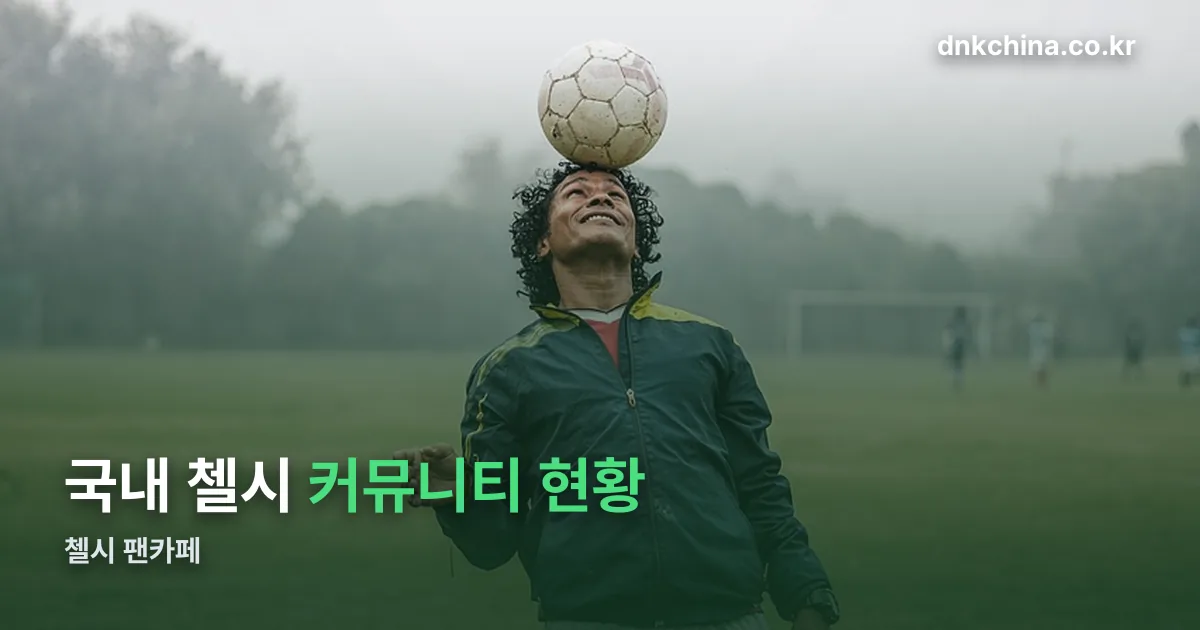 첼시 팬카페 정리 썸네일
