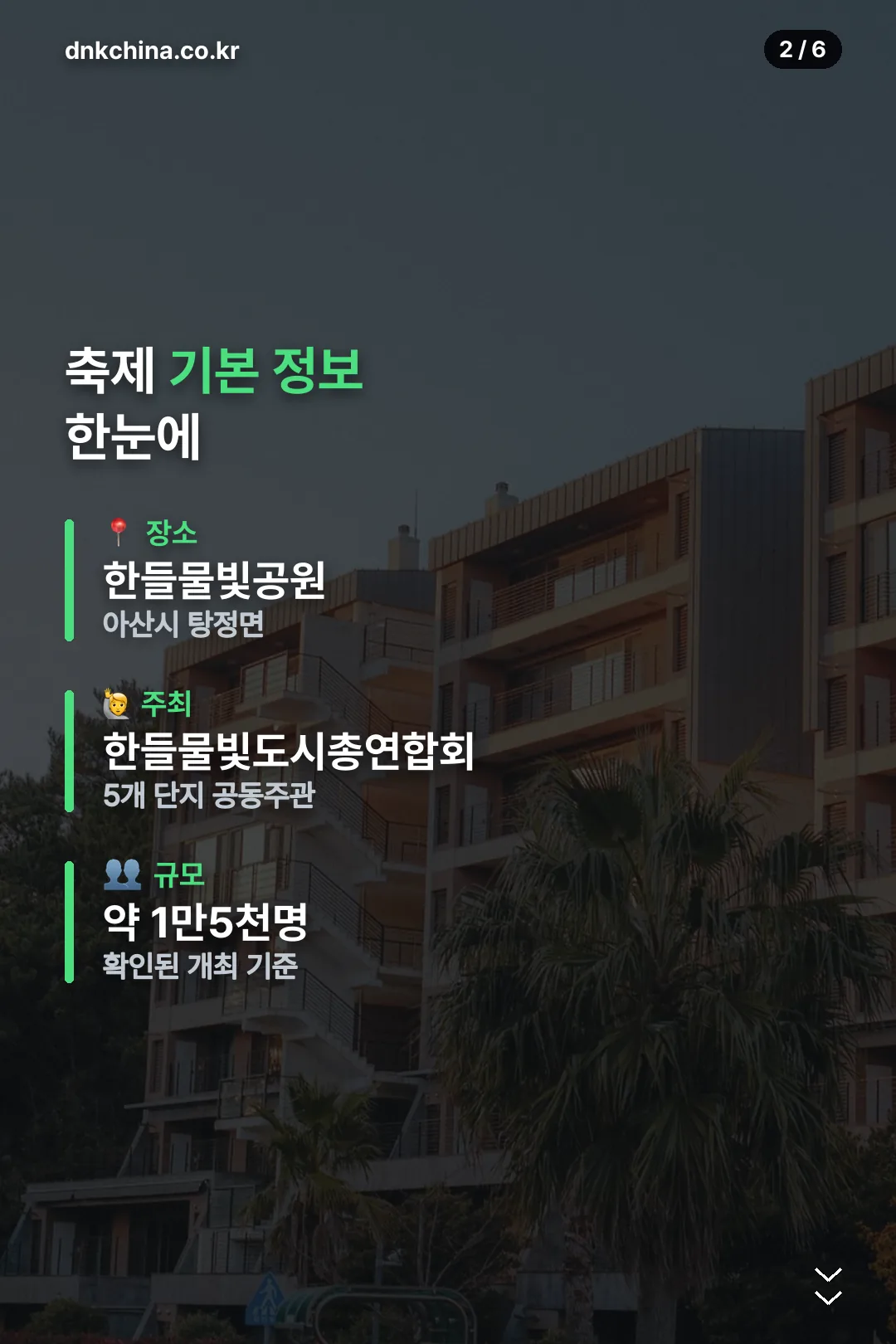 축제 기본 정보