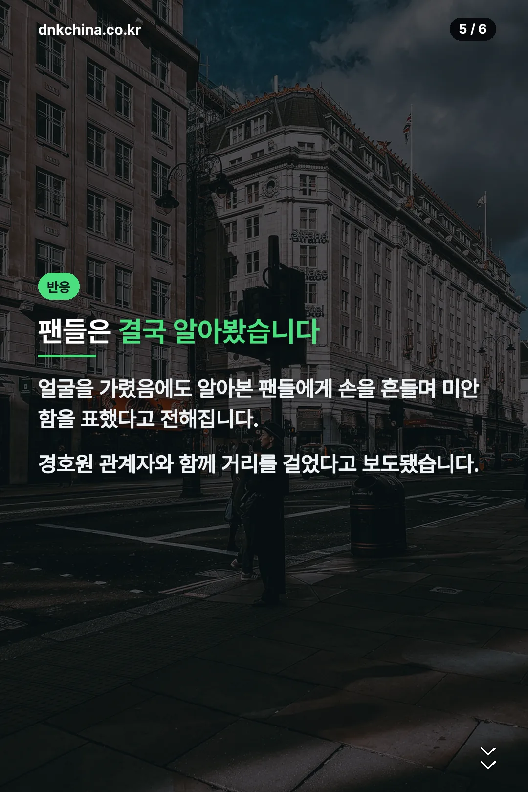 팬들 반응
