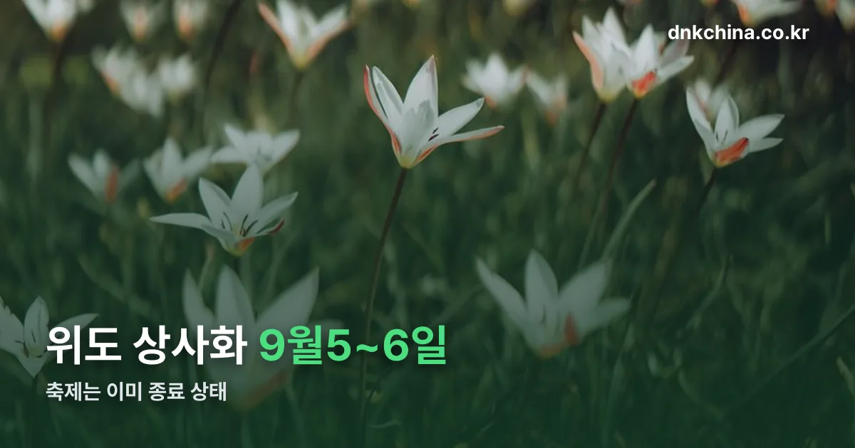 위도 상사화축제 정리 썸네일