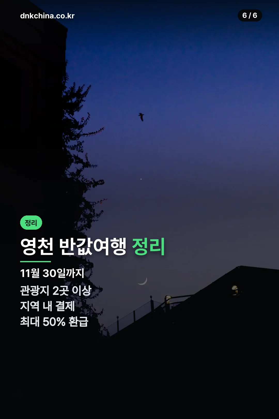 영천 반값여행 정리