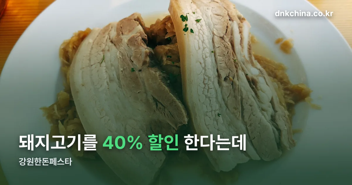 강원한돈페스타 정리 썸네일