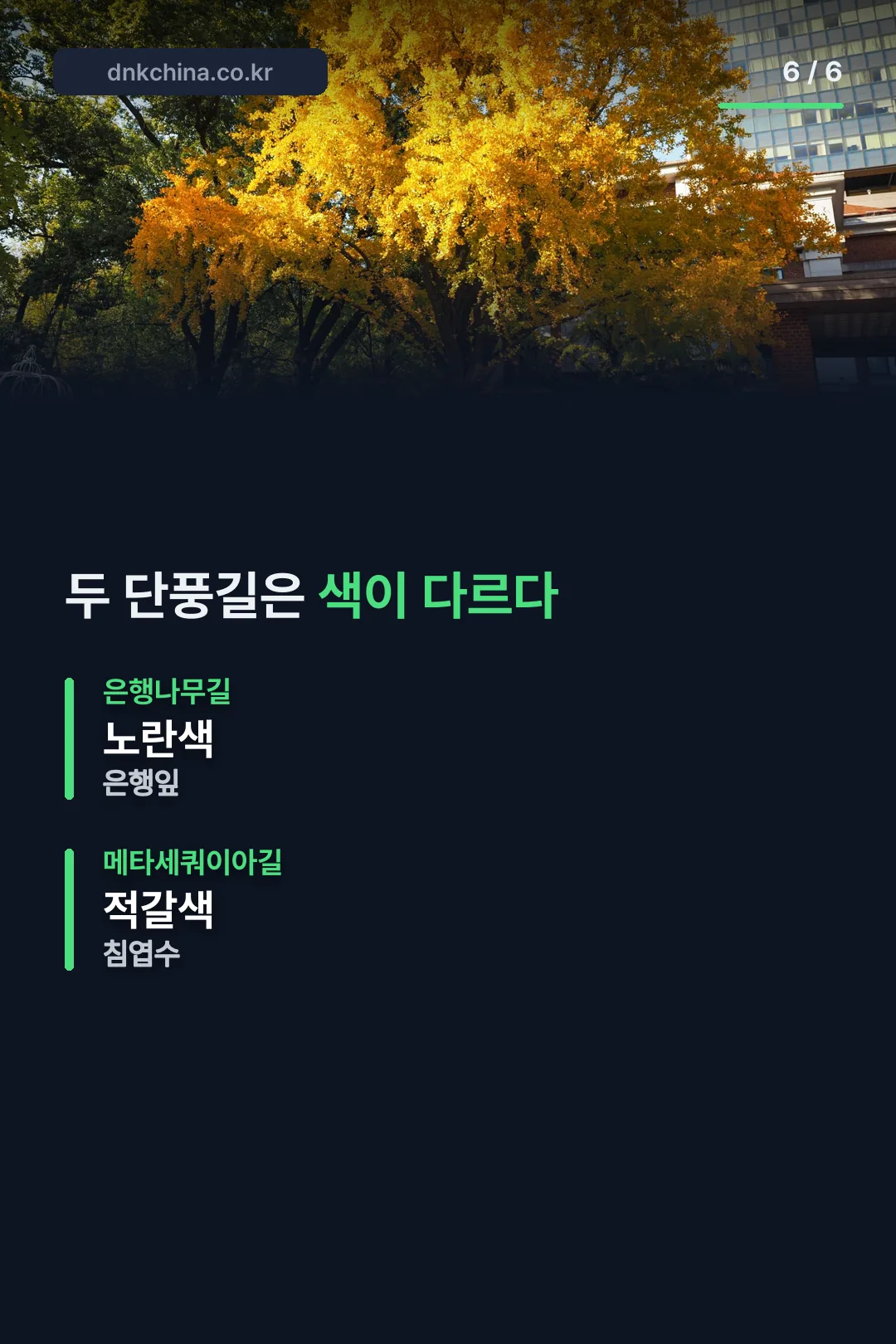 두 단풍길 색 비교