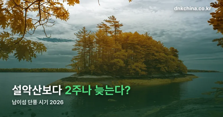 남이섬 단풍 시기 2026 정리 썸네일