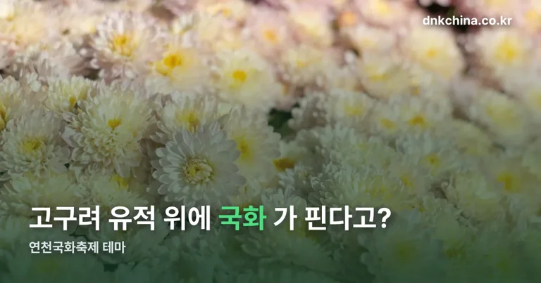 연천국화축제26년도 정리 썸네일