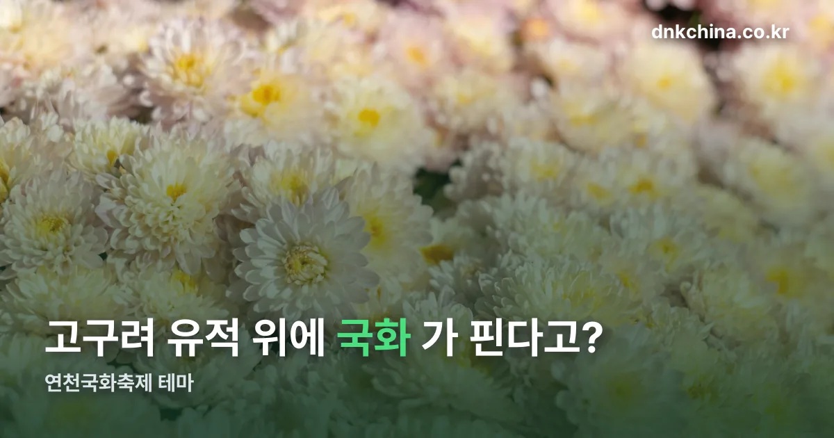 연천국화축제26년도 정리 썸네일